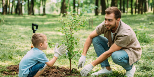 Aanplanten in 5 stappen