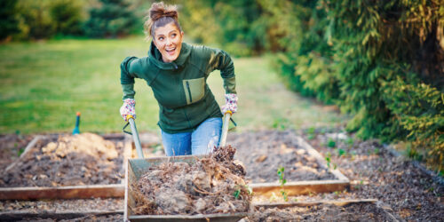 Stappenplan voor het aanleggen van je moestuin